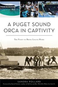 Puget Sound Orca in Captivity: The Fight to Bring Lolita Home
