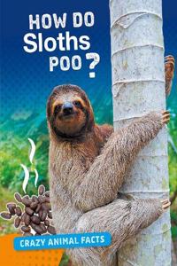 How Do Sloths Poo?