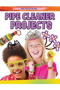 Pipe Cleaner Projects