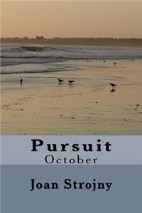 Pursuit