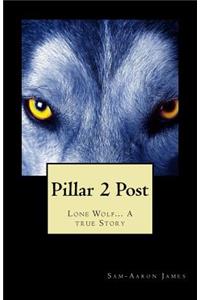 Pillar 2 Post