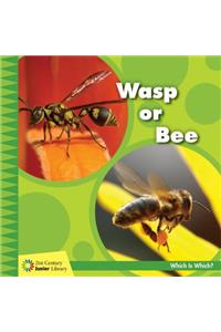Wasp or Bee