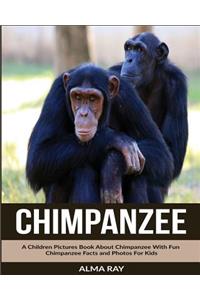 Chimpanzee