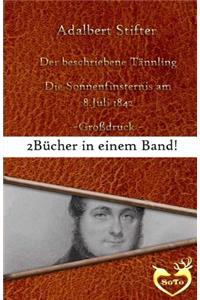 Der beschriebene Tännling - Großdruck