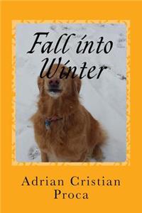 Fall into Winter