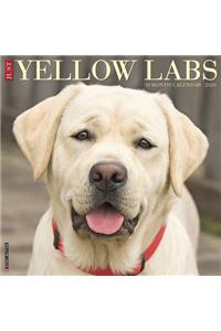 Just Yellow Labs 2020 Wall Calendar (Dog Breed Calendar)