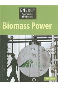 Biomass Power