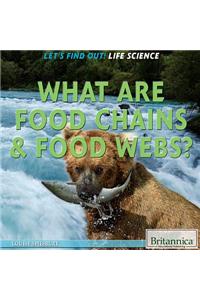 What Are Food Chains & Food Webs?