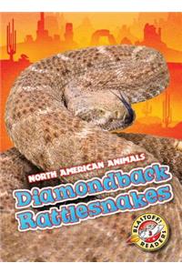 Diamondback Rattlesnakes