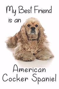 My best Friend is a American Cocker Spaniel