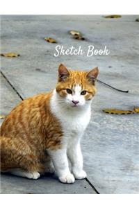 Sketch Book