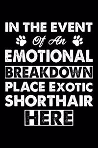 In The Event Emotional Breakdown Place Exotic Shorthair Here