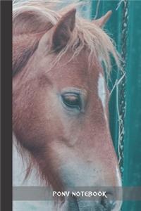 pony notebook