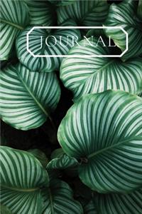 Journal