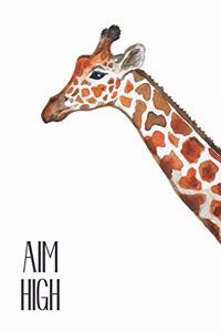 Aim High