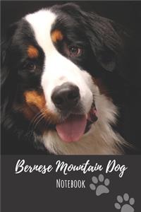 Bernese Mountain Dog Notebook