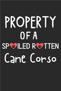 Property Of A Spoiled Rotten Cane Corso
