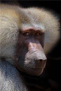 Say Hello to the Baboon Journal: 150 Page Lined Notebook/Diary