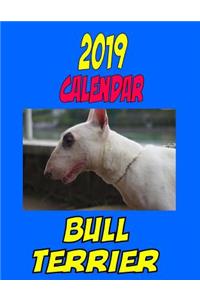 2019 Calendar Bull Terrier