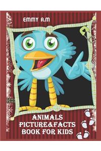 Animals Picture&facts Book for Kids: Our Lovely Kids Discover Their Lovely Animals
