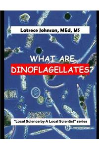 What Is a Dinoflagellate?