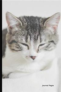 Journal Pages - Dream Kitty (Bullet Journal): 6 X 9, Dotted Grid, Dot Matrix Bullet Journal Notebook-Essential for Notes, Sketches & Writing - 100 Pages (Durable Cover)