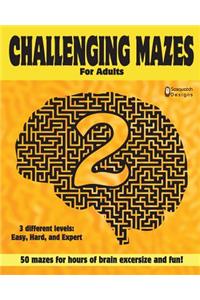Challenging Mazes for adults 2 by Sasquatch Designs