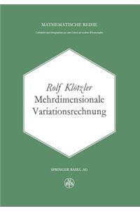 Mehrdimensionale Variationsrechnung