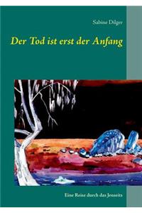 Der Tod ist erst der Anfang - eine Reise durch das Jenseits