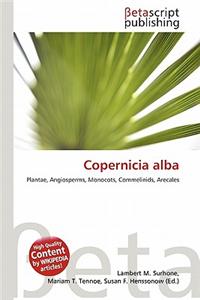 Copernicia Alba