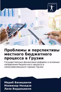 Проблемы и перспективы местного бюджетн