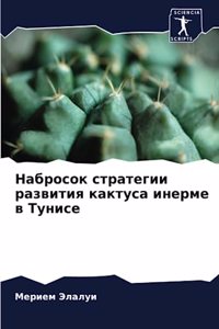 Набросок стратегии развития кактуса инер
