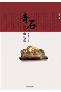 投资收藏系列：奇石鉴赏与收藏 - 世纪集团
