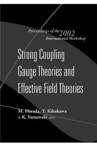 Strong Coupling Gauge Theories and Effective Field Theories, Proceedings of the 2002 International Workshop