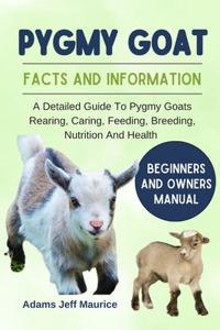 Pygmy Goat