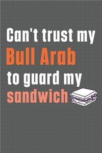 Can't trust my Bull Arab to guard my sandwich