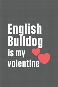 English Bulldog is my valentine