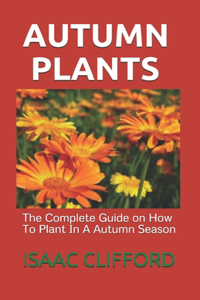 Autumn Plants