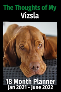 The Thoughts of My Vizsla