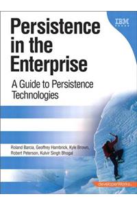 Persistence in the Enterprise
