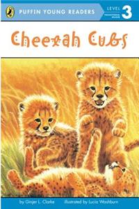 PYR LV 3 : Cheetah Cubs
