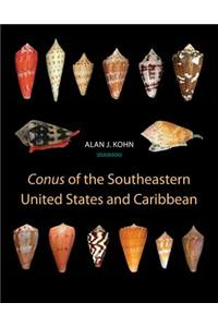 Conus of the Southeastern United States and Caribbean