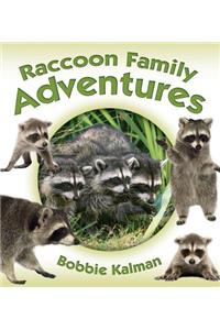 Raccoon Family Adventures