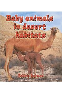 Baby Animals in Desert Habitats