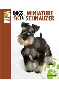 Miniature Schnauzer