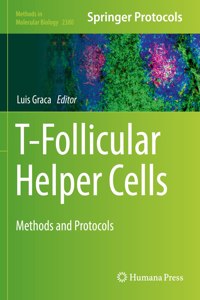 T-Follicular Helper Cells