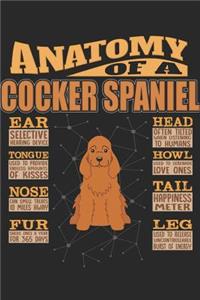 Anatomy Of A Cocker Spaniel