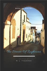 The Streets of Zaghouan