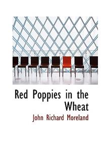 Red Poppies in the Wheat