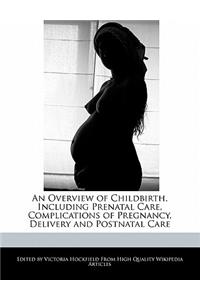 An Overview of Childbirth, Including Prenatal Care, Complications of Pregnancy, Delivery and Postnatal Care